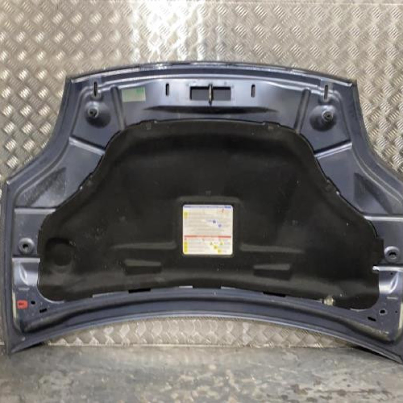 Capot FIAT BRAVO 2 Photo n°5