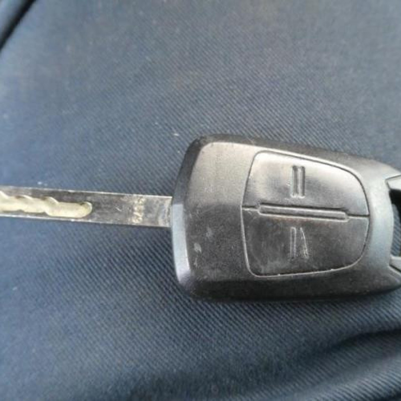 Porte avant gauche OPEL ZAFIRA B Photo n°13