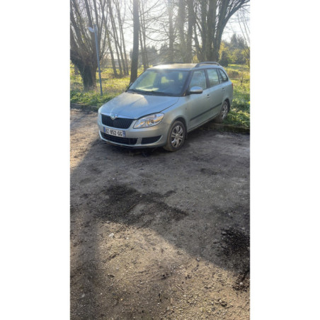 Moteur SKODA FABIA 2