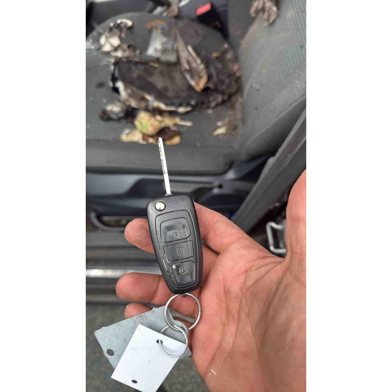 Feu arriere secondaire gauche (feux) FORD C-MAX 2 Photo n°6