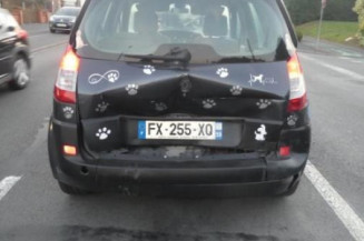 Jante RENAULT SCENIC 2