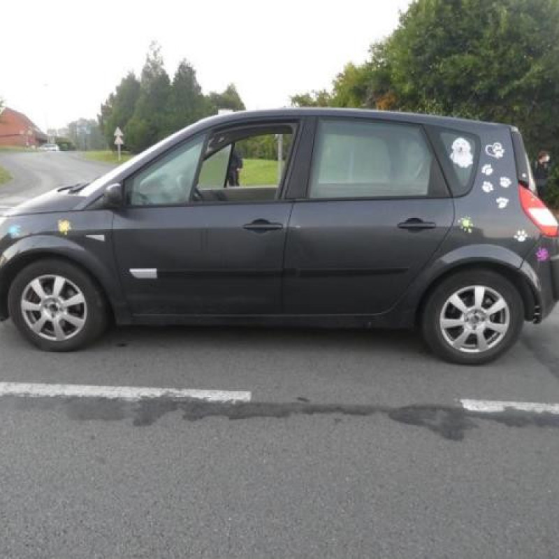 Jante RENAULT SCENIC 2 Photo n°5