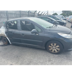 Cremaillere assistee PEUGEOT 207