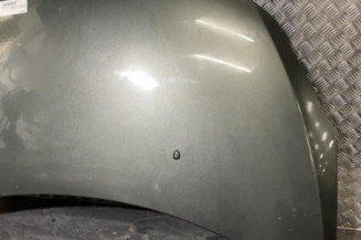 Capot PEUGEOT 307