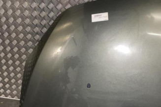 Capot PEUGEOT 307