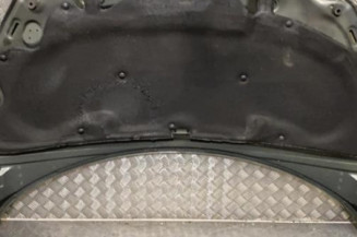 Capot PEUGEOT 307