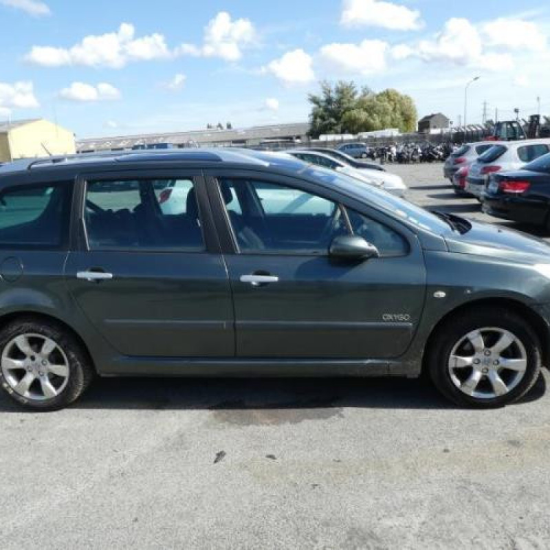 Porte arriere droit PEUGEOT 307 Photo n°6