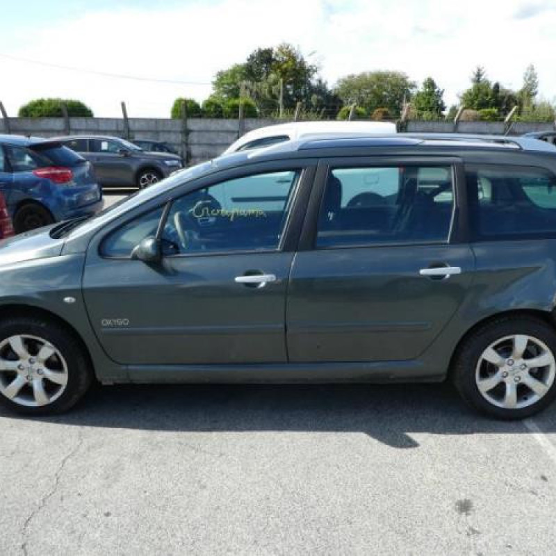 Porte arriere droit PEUGEOT 307 Photo n°8