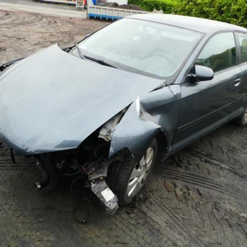 Malle/Hayon arriere AUDI A3 2 Photo n°5