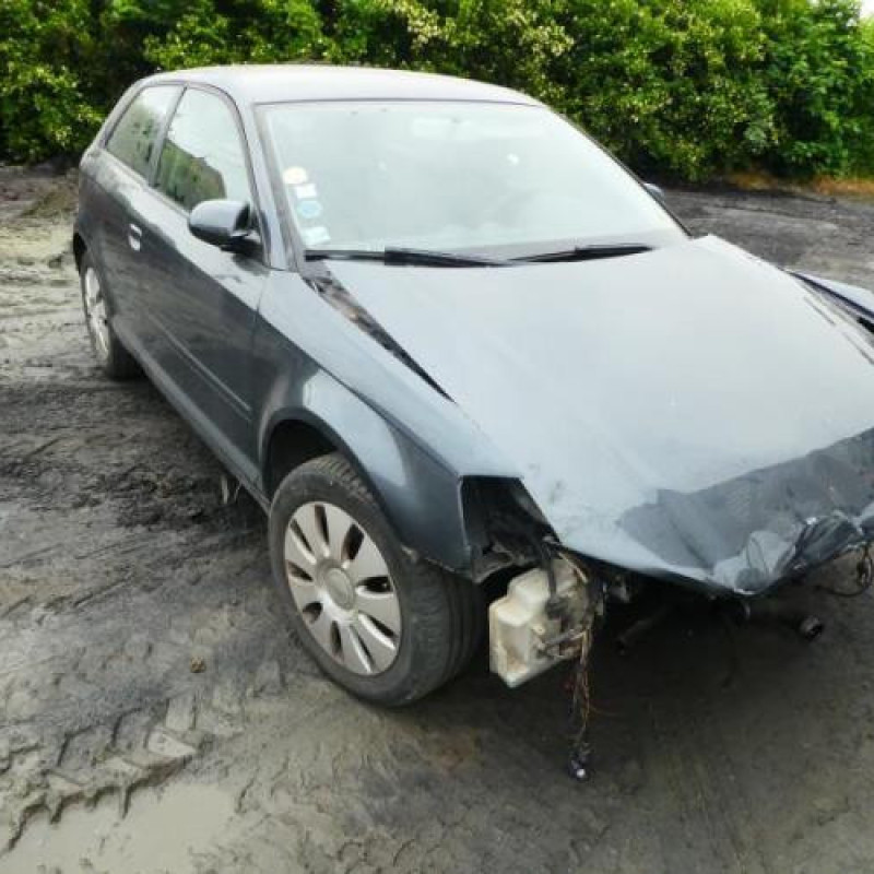Malle/Hayon arriere AUDI A3 2 Photo n°6
