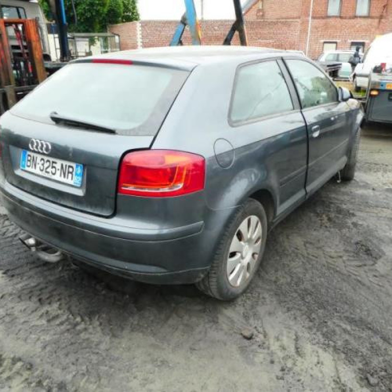 Malle/Hayon arriere AUDI A3 2 Photo n°7