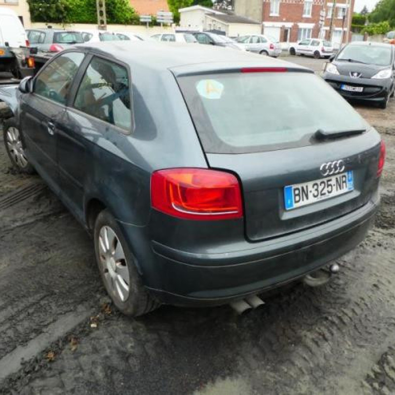 Malle/Hayon arriere AUDI A3 2 Photo n°8