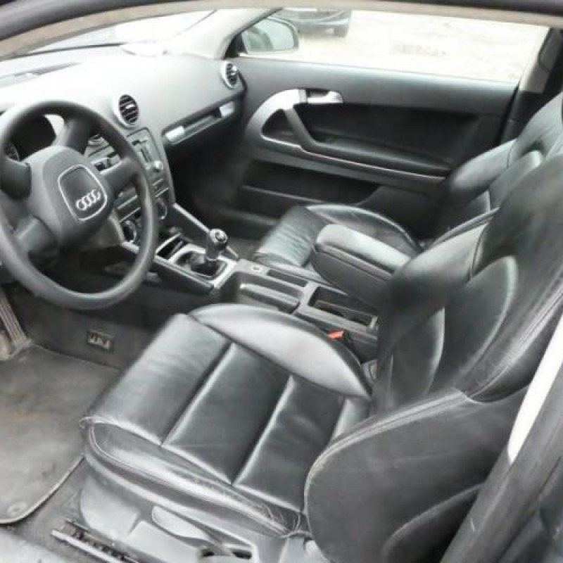 Malle/Hayon arriere AUDI A3 2 Photo n°9