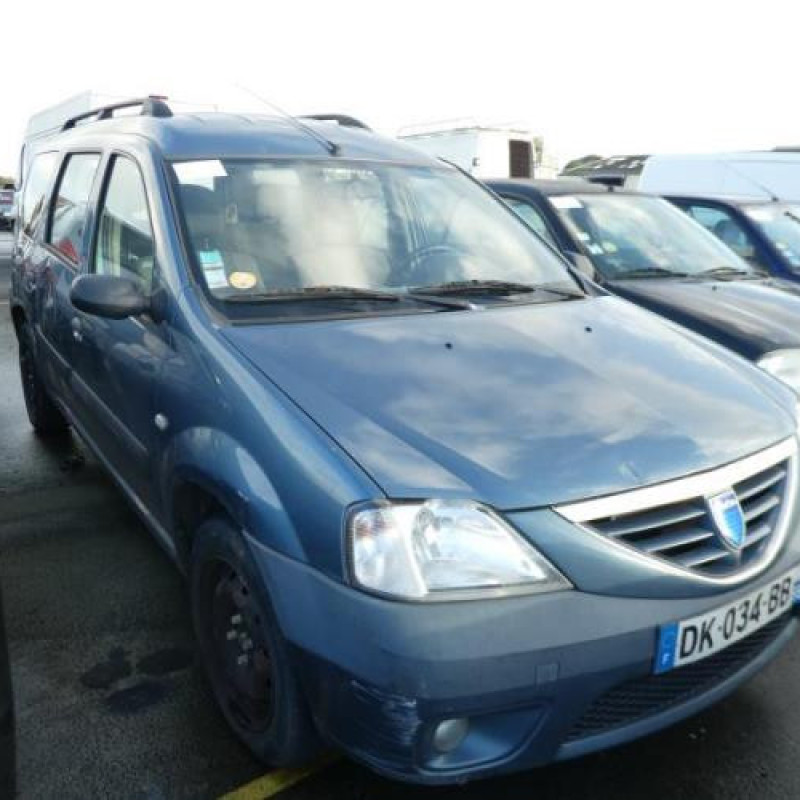 Porte de coffre droit DACIA LOGAN 1 Photo n°4