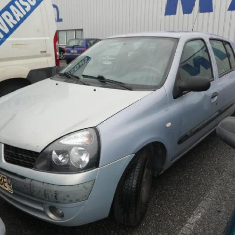 Eclairage de plafonnier RENAULT CLIO 2 Photo n°3