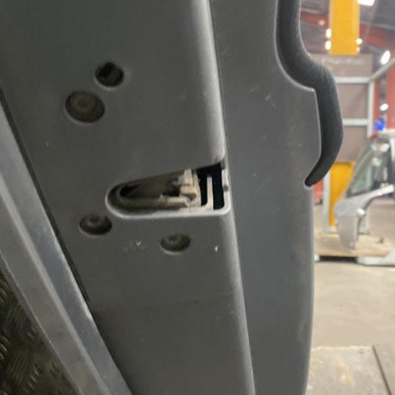 Porte arriere gauche SMART FORFOUR 1 Photo n°5