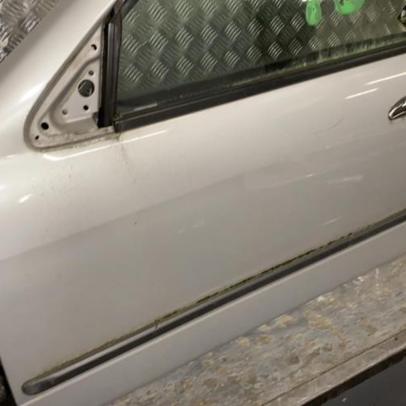 Porte avant gauche NISSAN PRIMERA 2 Photo n°3