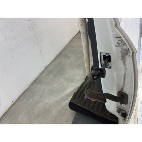 Porte arriere gauche VOLKSWAGEN POLO 6