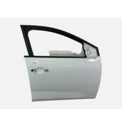 Porte avant droit DACIA SANDERO 3 Photo n°1