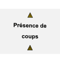 Porte arriere gauche RENAULT CLIO 2