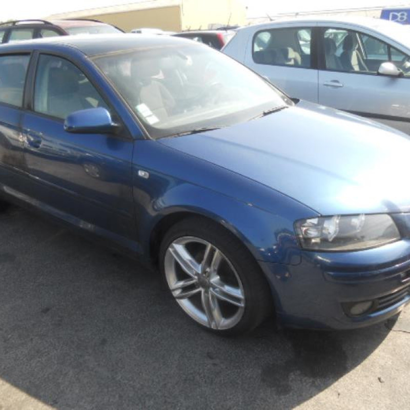 Porte avant droit AUDI A3 2 Photo n°6