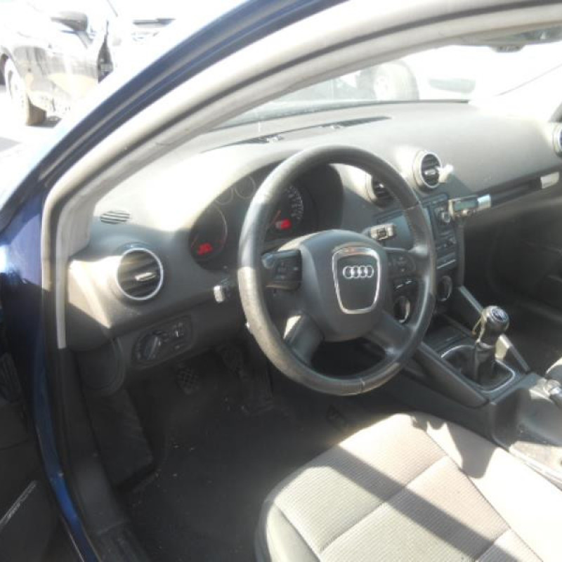 Porte avant droit AUDI A3 2 Photo n°9