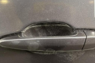 Porte arriere gauche BMW SERIE 3 E91