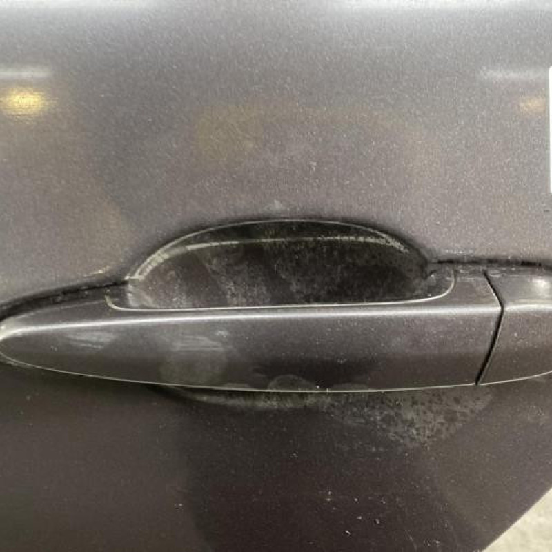Porte arriere gauche BMW SERIE 3 E91 Photo n°2