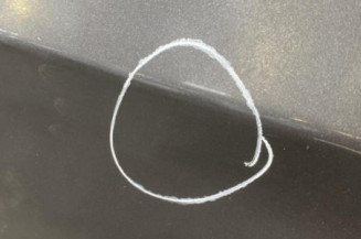 Porte arriere gauche BMW SERIE 3 E91