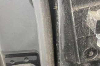 Porte arriere gauche BMW SERIE 5 E60