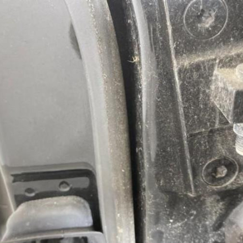 Porte arriere gauche BMW SERIE 5 E60 Photo n°4