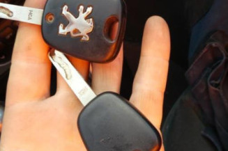 Alternateur PEUGEOT 307