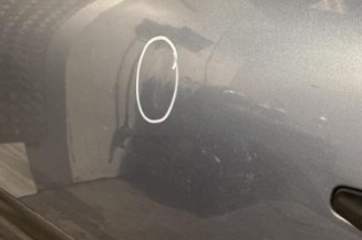Porte arriere gauche CITROEN C4 GRAND PICASSO 1