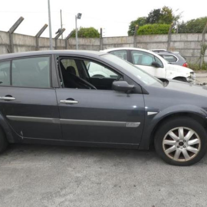 Porte avant droit RENAULT MEGANE 2 Photo n°7