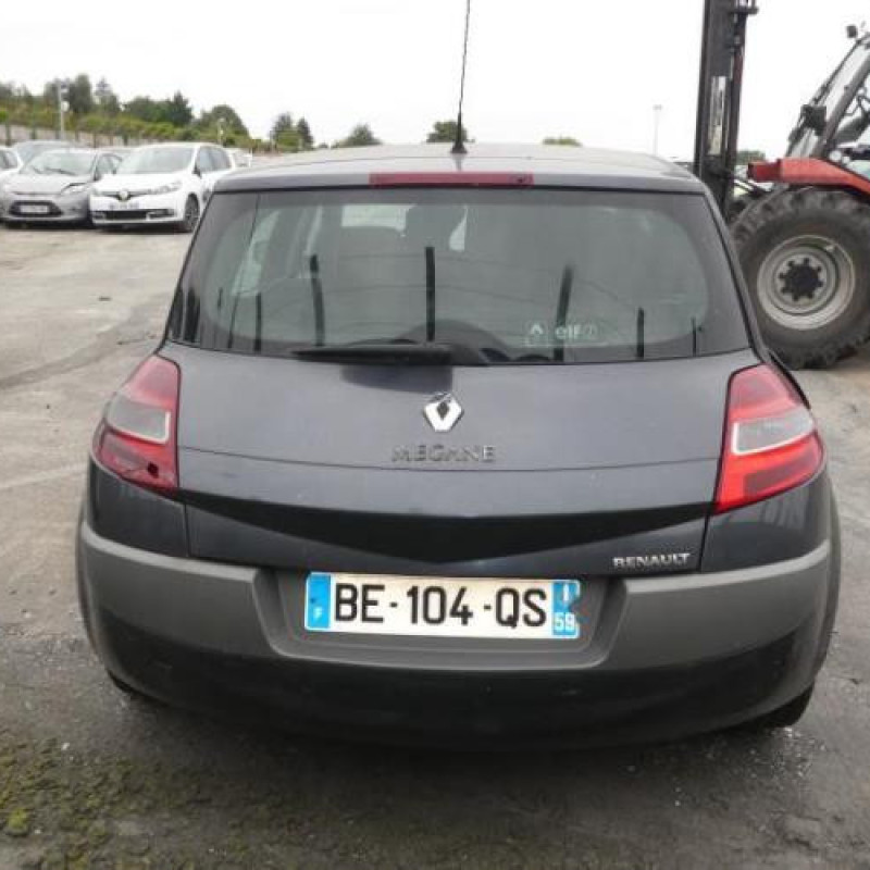 Porte avant droit RENAULT MEGANE 2 Photo n°8