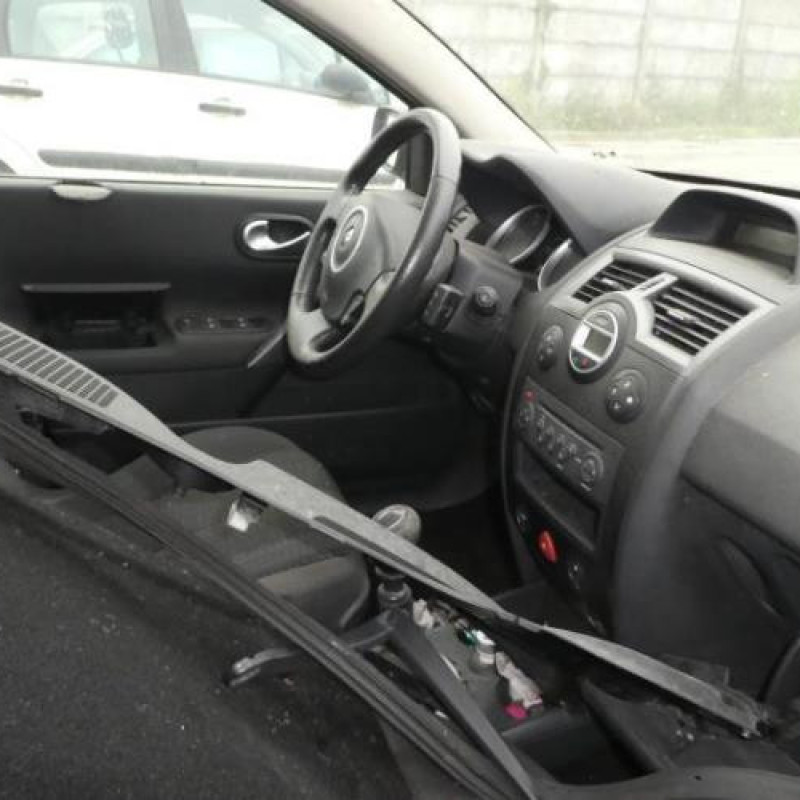 Porte avant droit RENAULT MEGANE 2 Photo n°9