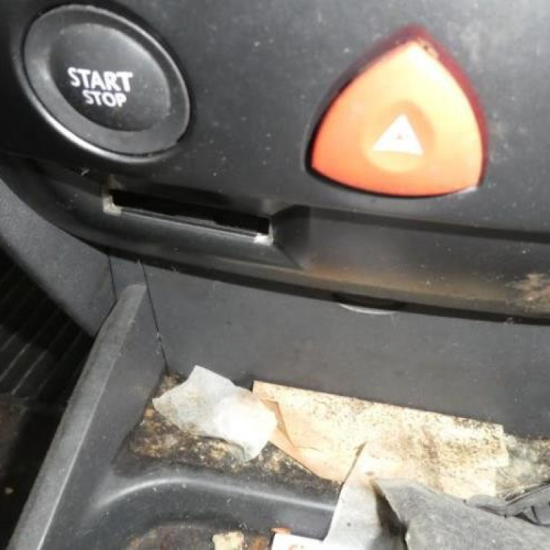 Porte avant droit RENAULT MEGANE 2 Photo n°11