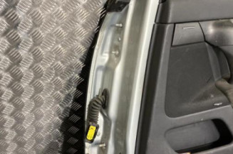 Porte arriere droit RENAULT VEL SATIS