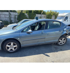 Vase de lave glace PEUGEOT 407