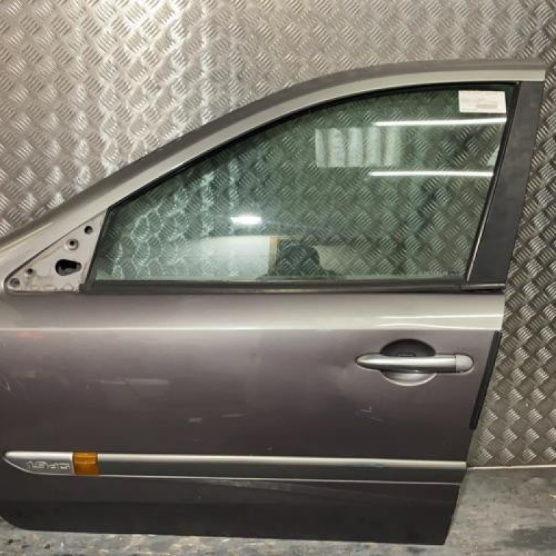Porte avant gauche RENAULT LAGUNA 2 Photo n°1