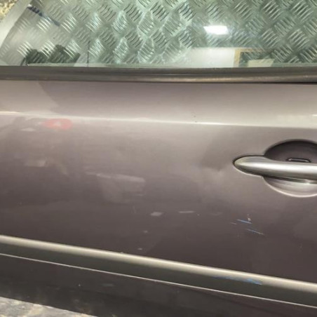 Porte avant gauche RENAULT LAGUNA 2