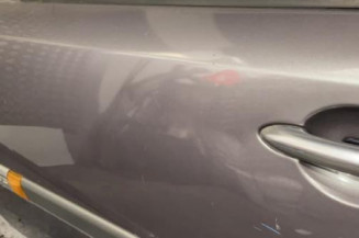 Porte avant gauche RENAULT LAGUNA 2
