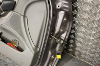 Porte avant gauche RENAULT LAGUNA 2