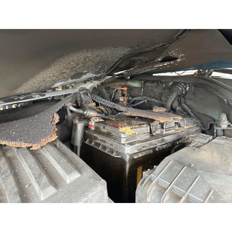 Avertisseur/Klaxon VOLKSWAGEN TIGUAN 1 Photo n°15
