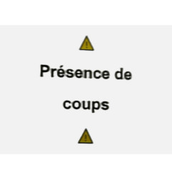 Porte avant gauche FORD C-MAX 2