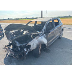 Eclairage de plaque VOLKSWAGEN POLO 5