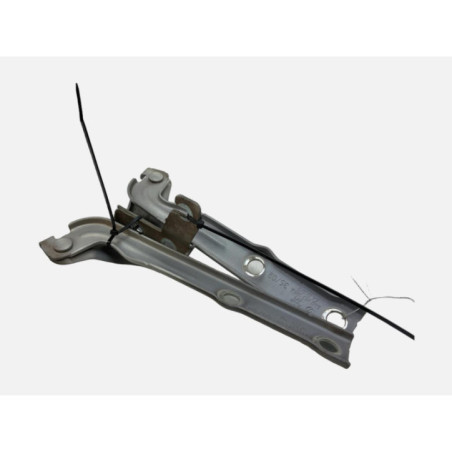 Charniere de capot VOLKSWAGEN TIGUAN 1