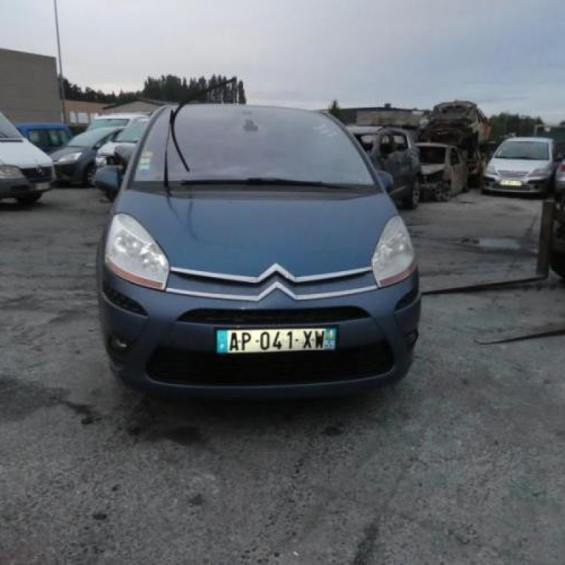 Porte avant droit CITROEN C4 PICASSO 1 Photo n°5