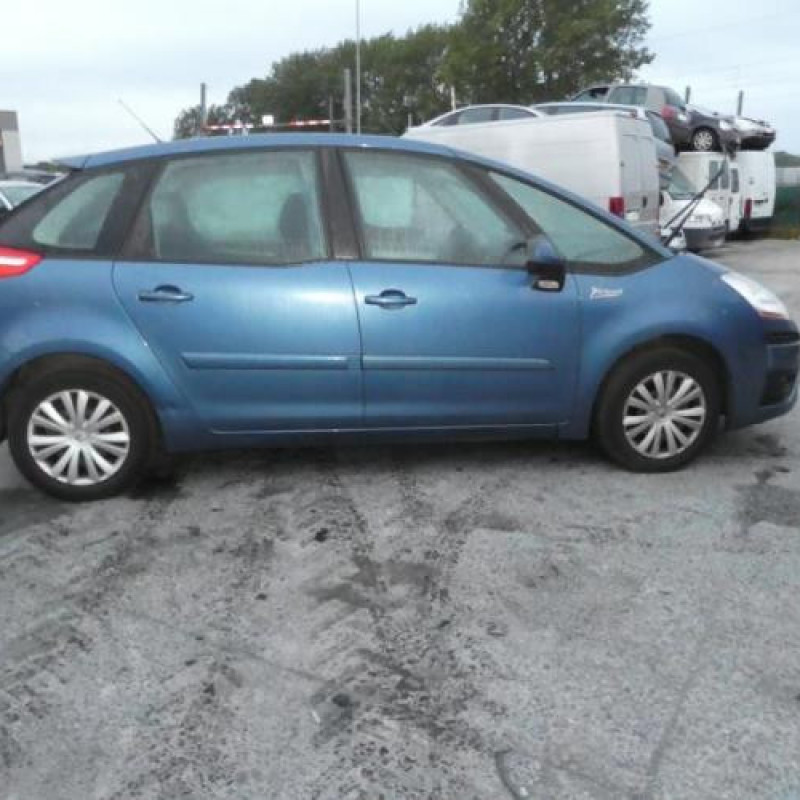 Porte avant droit CITROEN C4 PICASSO 1 Photo n°6