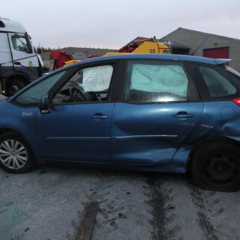 Porte avant droit CITROEN C4 PICASSO 1 Photo n°8